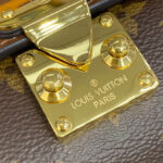 Louis Vuitton Papillon Trunk M57835 Brown